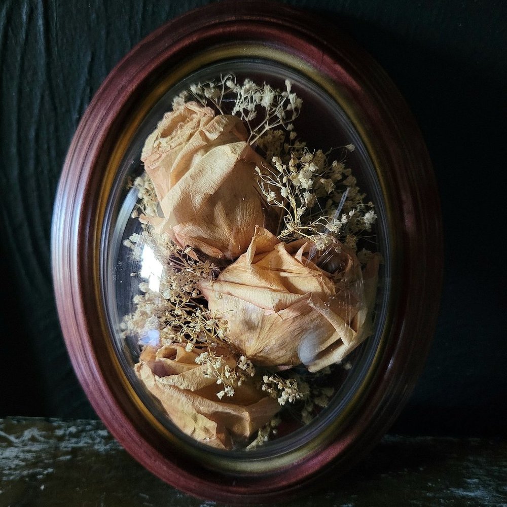 Mounted Freeze Dried Flowers, Framed Preserved Roses